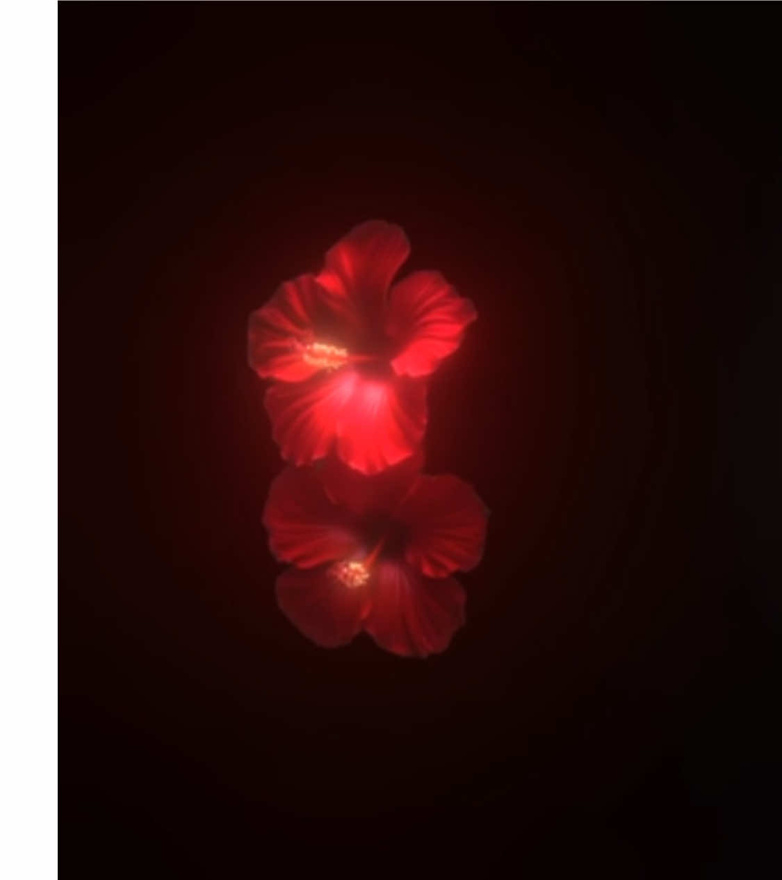 وقتی نگات تو نگاه منه:) آهنگ و خود ویدیو داخل چنل تلگرام هستش لینک چنل تو بیو پیج؛)🫶🏻 #فوریو #فوریوپیج #فوریو_نظری_به_حال_ما_کن 