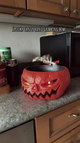 This is too cool 👻 #spooky #spookyseason #halloween #trickortreat #halloweendecor 