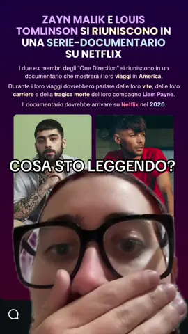 STO URLANDO #onedirection #directioner #harrystyles #zaynmalik #louistomlinson 