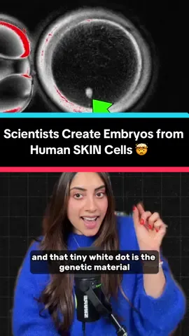 Scientists created early stage human embryos from human SKIN 🤯🤯🤯 This is so wild and could be huge for several reasons: if viable this technique could theoretically overcome infertility by using almost any cell in the body as a starting point for life. It could even allow same sex couples to have a genetically related child  #pregnant #biology #infertility #ivf #medicine  