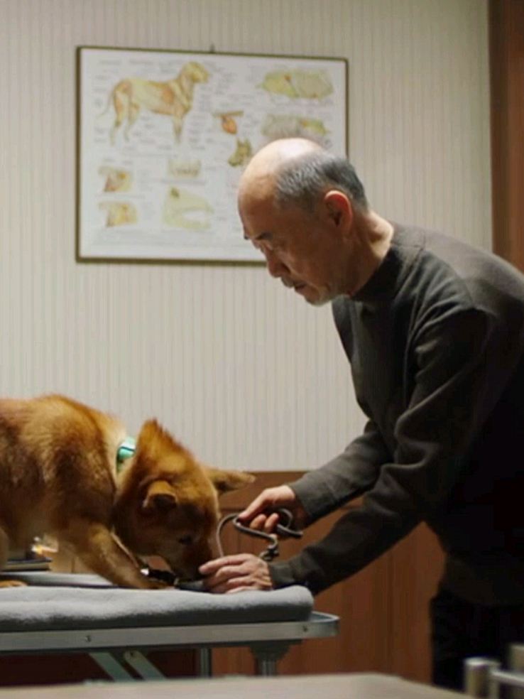 #contactoespecial #viconcaro #kdramaedit #llorar #perros 