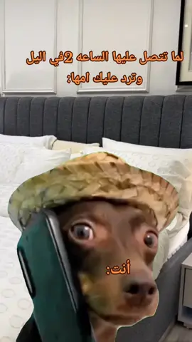 #ضحك😂 #تابعوني #الشعب_الصيني_ماله_حل😂😂 #الاكسبلور #fpy 