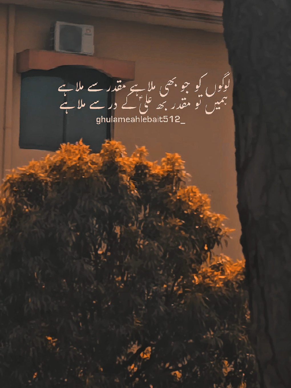 لوگوں کو جو بھی ملا ہے مقدر سے ملا ہے   ہمیں تو مقدر بھی علی ع کے در سے ملا ہے #fyp #azadar #hussanisquad #viral #unfreezemyacount 