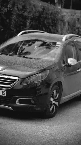 #peugeot2008 