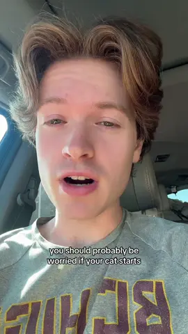 Cat owners, be aware of THIS… #fyp #cat 