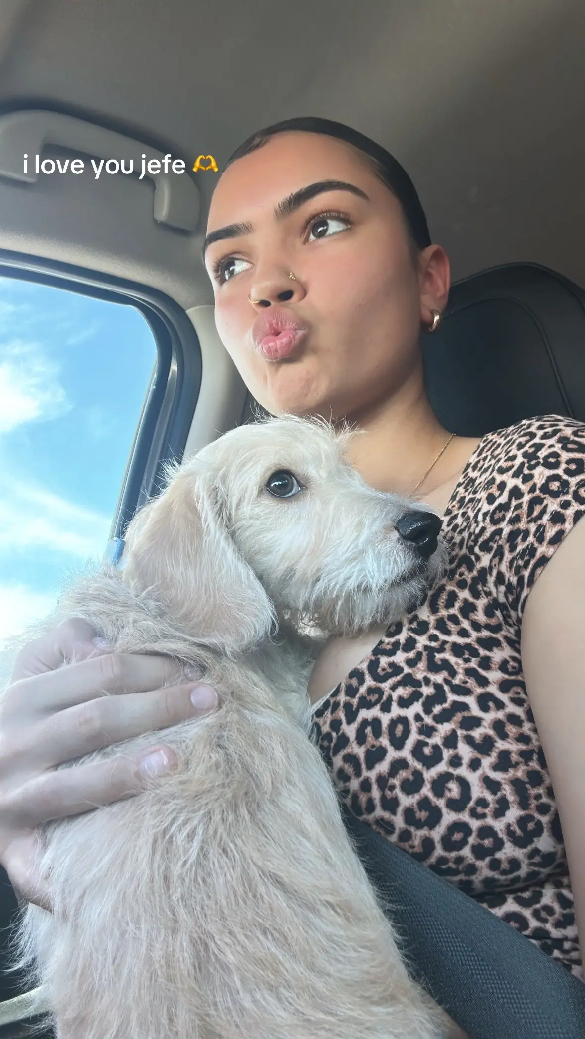 please look at all the pictures he’s so cute 🥲#dogsoftiktok #furbaby #mamasboy #dogmom #dogmomlife 