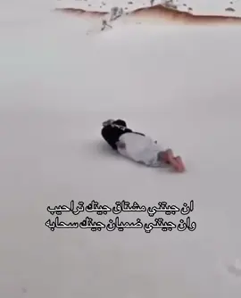 #بدون_هشتاق #fyp 