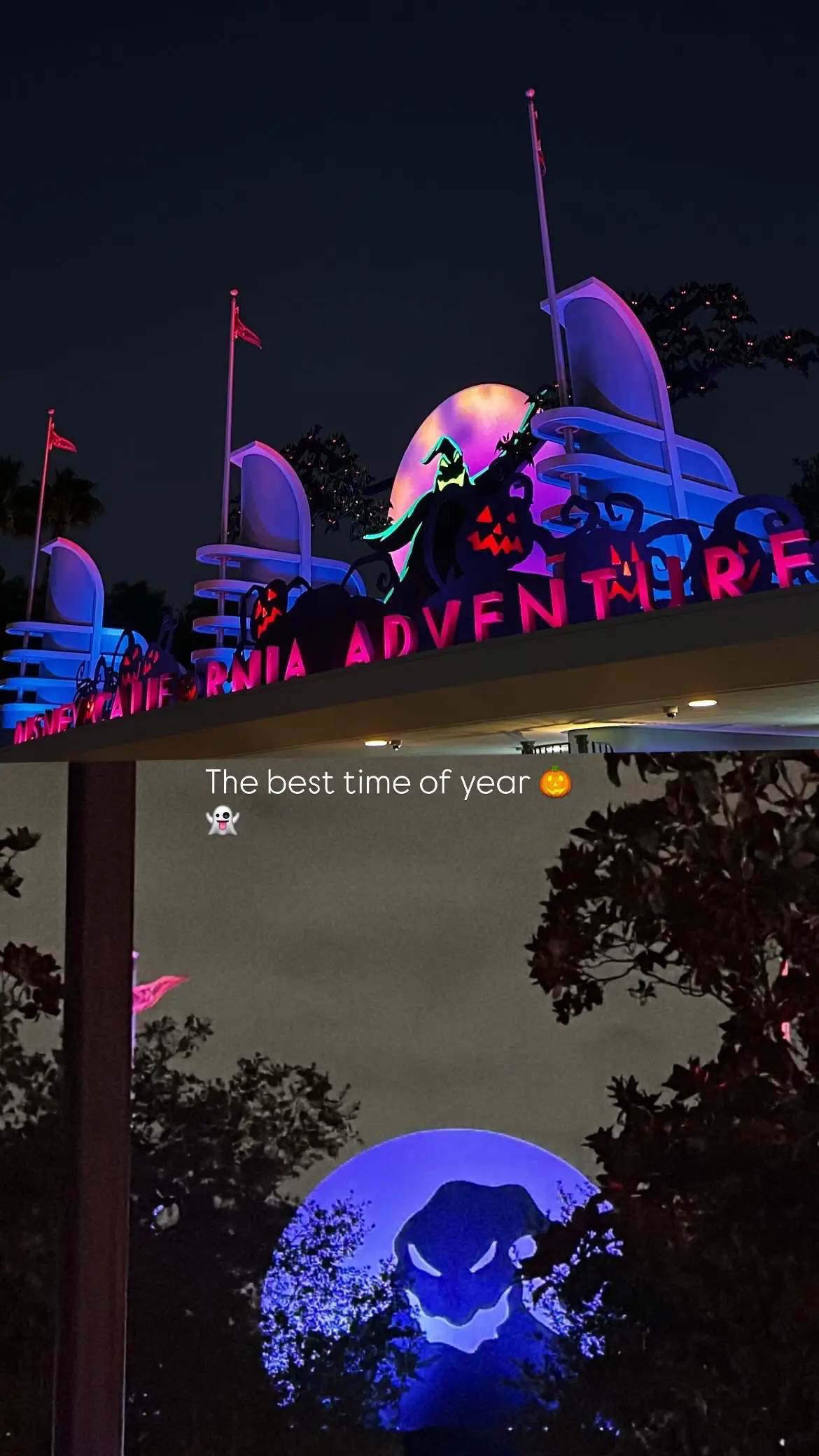 #halloween #disney #dca #magickeyholder #disneygirl 
