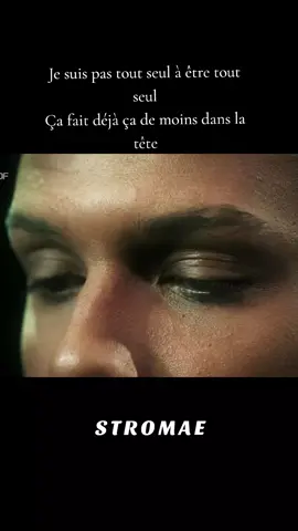 #lenfer #multitudealbum #stromae #lenferstromae #paulvanhaver 