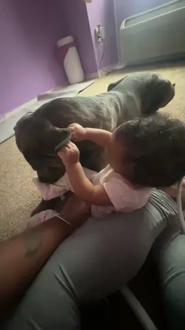 i keep telling King that he cannot fit in Rae’Lynn lap for her to rub him instead of listening to me. He does the same thing and didn’t get mad when I tell him no or catching an attitude.😒😭