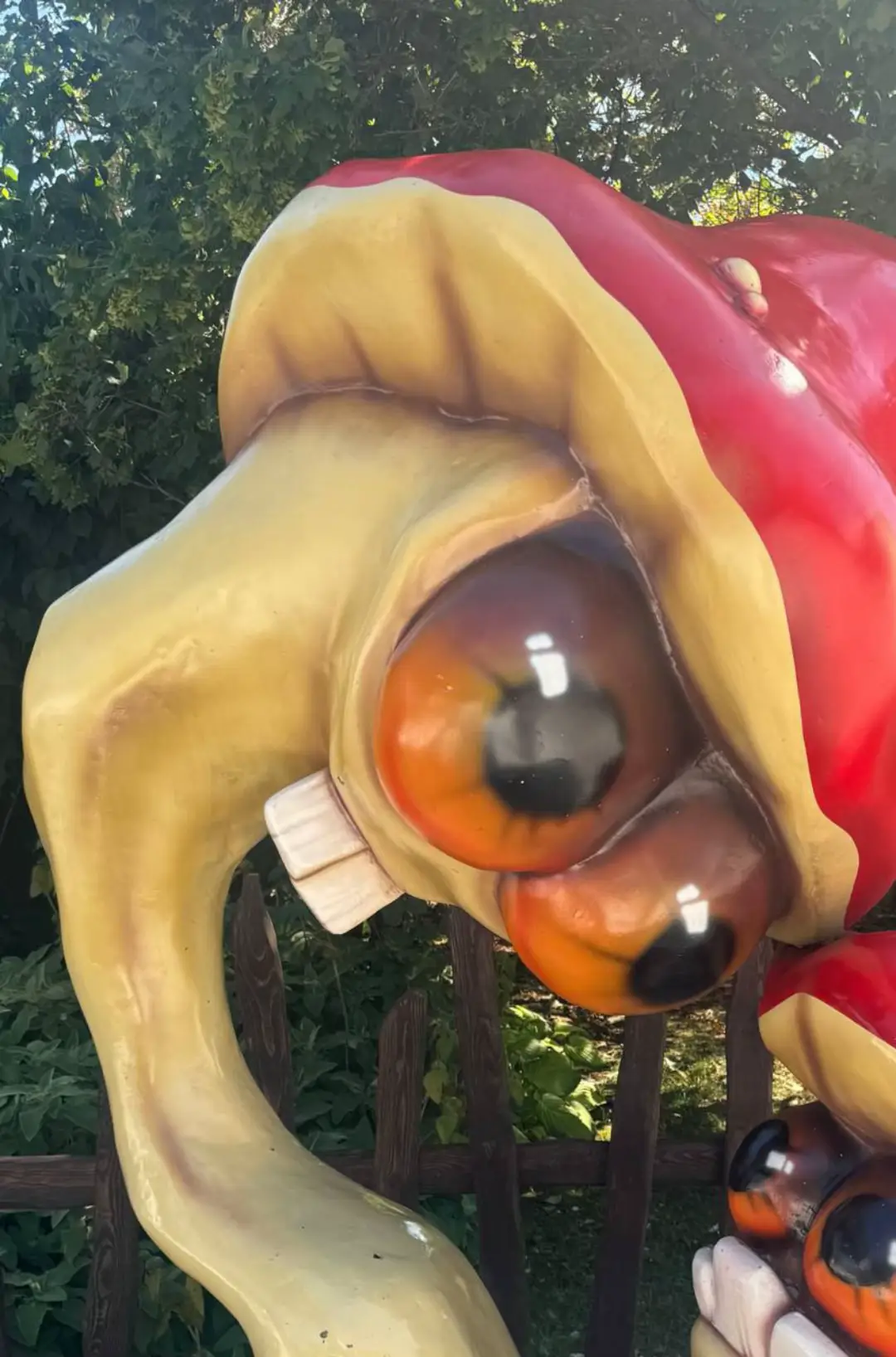 #сочи #сочипарк 