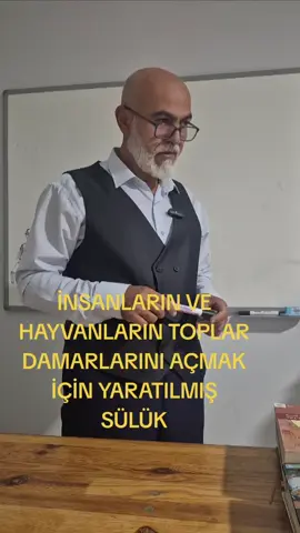 Sülükler; kan dolaşımını artırmak, kan akışını iyileştirmek ve genel iyileşmeyi hızlandırmak için yara bölgesine uygulanan organizmalardır. Yaklaşık 10 cm uzunluğunda olan yetişkin sülükler, üç çeneye yayılan 300 dişe sahiptir. #sülük#hacamat#kesfet #viral #trend #