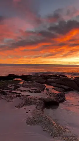 #عبدالله_الجهني 