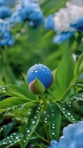 جعلنا الله وإياكم من اهل القرآن وخاصته ❤️ اللهم ارزقنا حب القرآن وشفاء القرآن وشفاعة القرآن وسكينة القرآن وبركة القرآن ونور القرآن ❤️