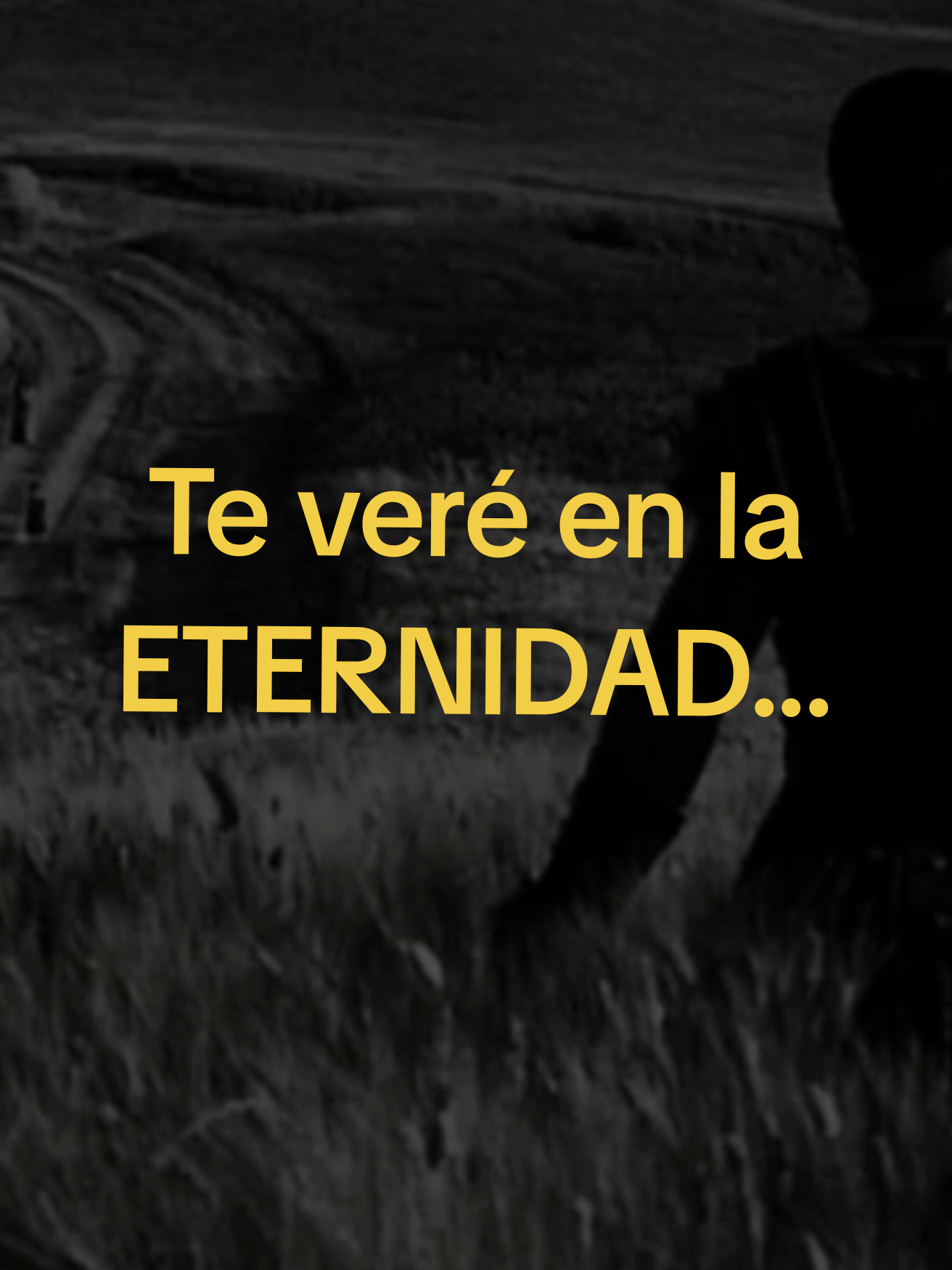 Te veré en la eternidad, Pero aún no... Aún no... #viral #fyp #foryoupage #gladiador #perdida 
