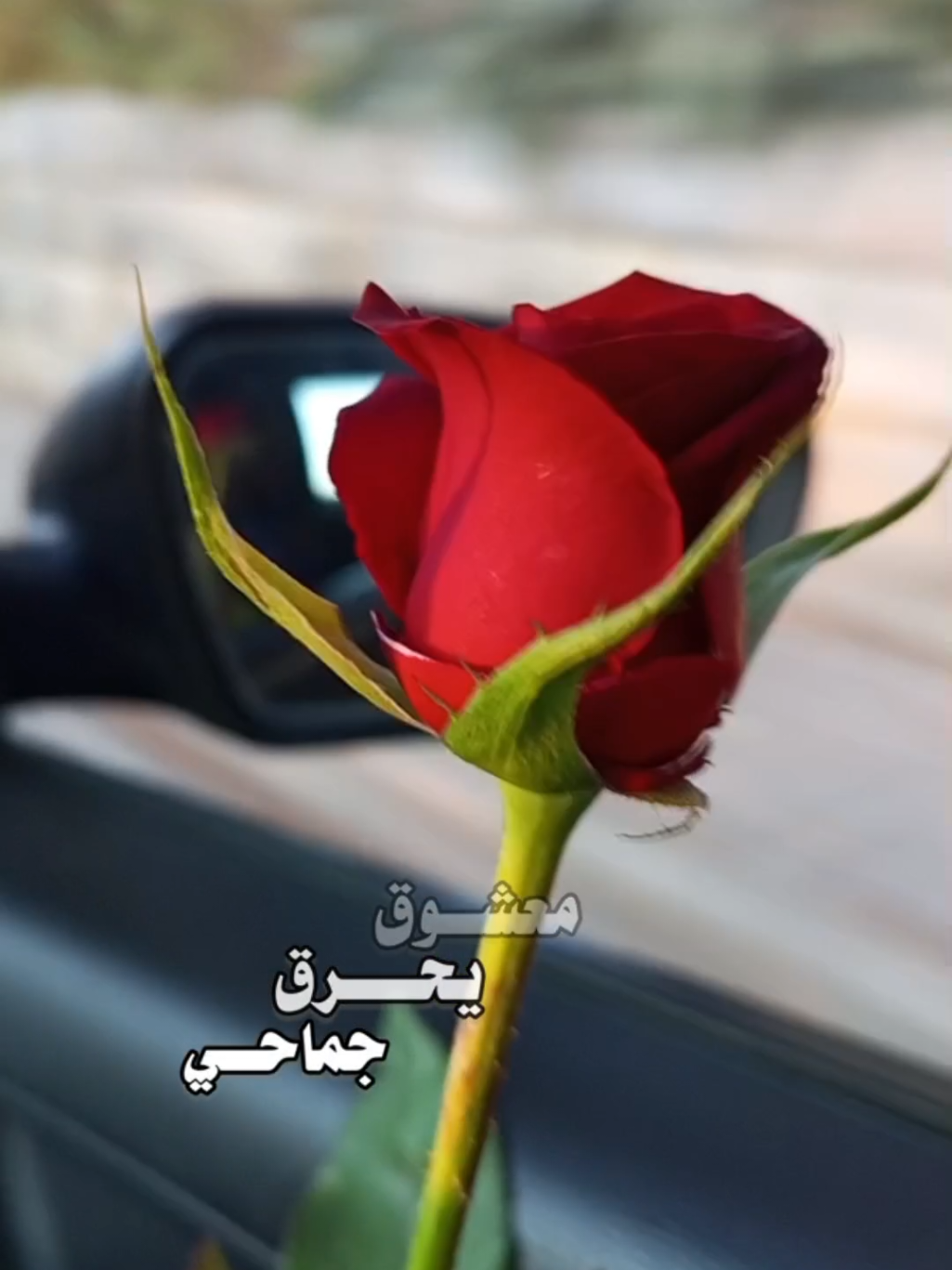 #هذا_جبين_الزين_ولا_صباحي #حسين_الجسمي #reel #lavendr81 #CapCut 