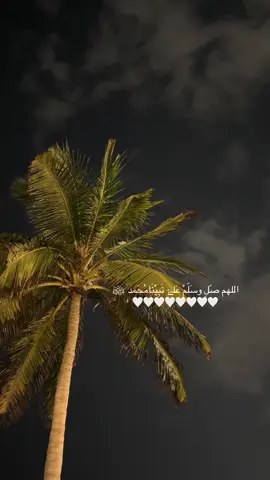 #اللهم_صل_وسلم_على_نبينا_محمد #صلوا_على_رسول_الله #ليلة_جمعة #اكسبلورexplore #تصويري 