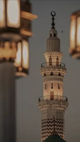 صلّوا وسلِّموا على نبينا محمد ﷺ 
︎ 
︎ 
︎ #احمد_بن_طالب #الصلاة_على_النبى #اللهم_صل_وسلم_على_نبينا_محمد #يوم_الجمعه #اجر 