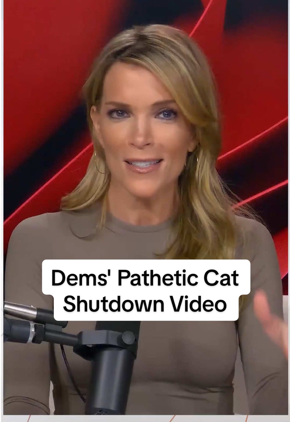 #MegynKelly reacts to Dems' pathetic cat shutdown video... and Trump putting a sombrero on the cat. Subscribe and download the FULL show at the link in our bio. #MegynKellyShow