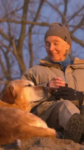 “You cannot share your life with a dog, or a cat, and not know perfectly well that animals have personalities, minds, and feelings.” – Jane Goodall Source: 60 Minutes Archive | Jane Goodall and Tom Mangelsen | 2018