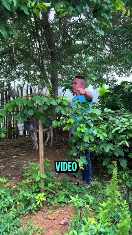 Celebrarás una gran victoria ❤️🙏 #oracion #videoviral #estadosunidos 