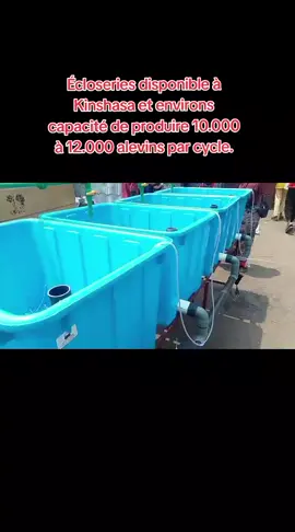 Écloseries disponible à Kinshasa et environs # capacité de produire 10.000 à 12.000 alevins par cycle.  #agriculture #AgroBusinessRDC #pisciculture @Georginho El bwam's 