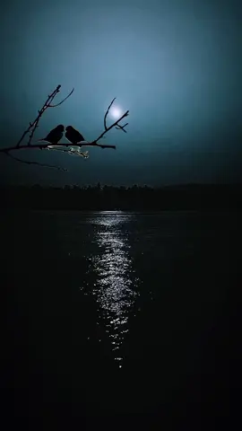 # 💕