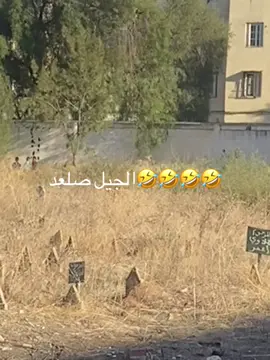 #شعب_الصيني_ماله_حل😂😂 