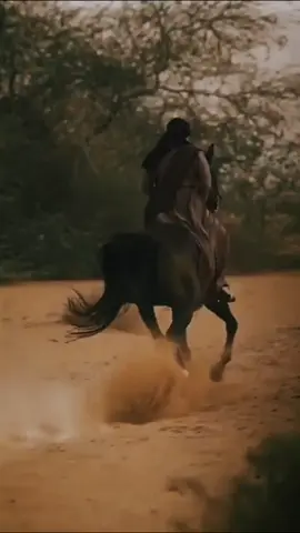 #الخيل_من_خيالها #الخيل #الخيل_العربي_الاصيل🐎 #ترندات #ترند 