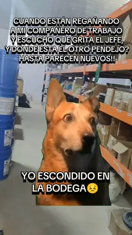 Es mejor que digan aqui corrió que aquí lo echaron jajaja 😁 #Meme #MemeCut #CapCut #fyp #vypシ #vyp #humor 