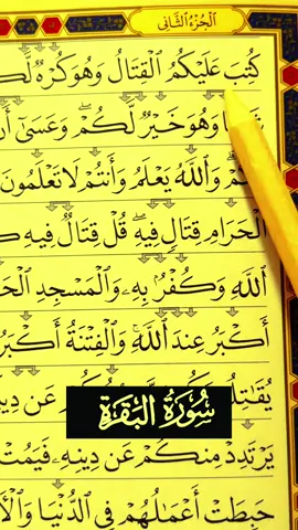 Sourate Al-Baqarah verset 216-219 #alquran #official #fyp #tik_tok 