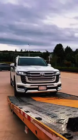 Lc300 #viral #fffyyypppp #peg #4000ln 