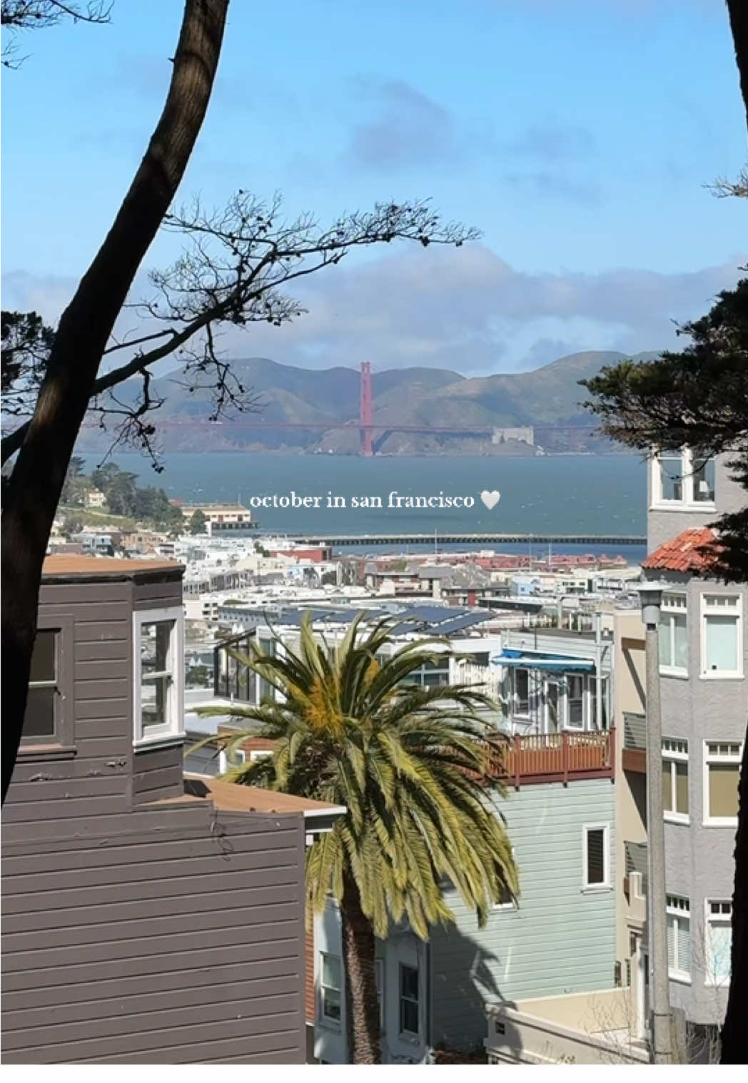 SHE IS BEAUTY SHE IS GRACE 👼🏼🥲 A little slice of heaven 🪽🌞🌁 #sanfrancisco #visitsanfrancisco #visitsf #goldengatebridge #bayarea  