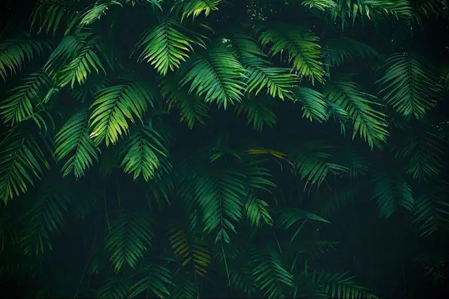 اب خود کو غیر تسلیم کرتے ہیں🥹🥀 اپنوں سا سبق دینے والے یہ لوگ🥹💔 #repost 