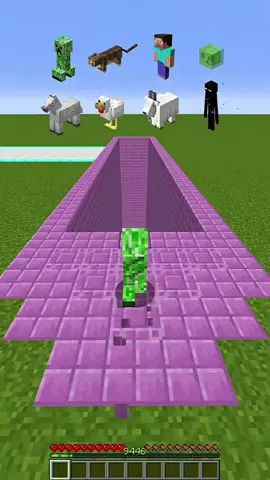 #Minecraft #foryoupage #viralvideo 