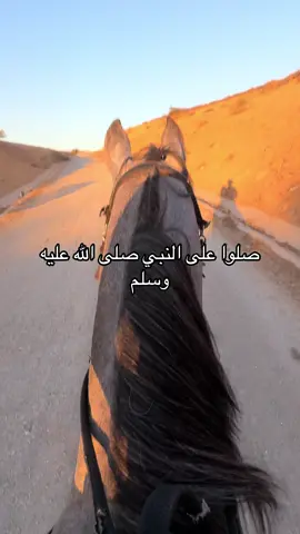 ‏اللهم صلي وسلم وبارك على نبينا محمد وعلى آله وصحبه أجمعين @القرآن / 🤍  #الخيل  #🇩🇿  #🐎  #الهم_صلي_على_محمد_وأل_محمد 