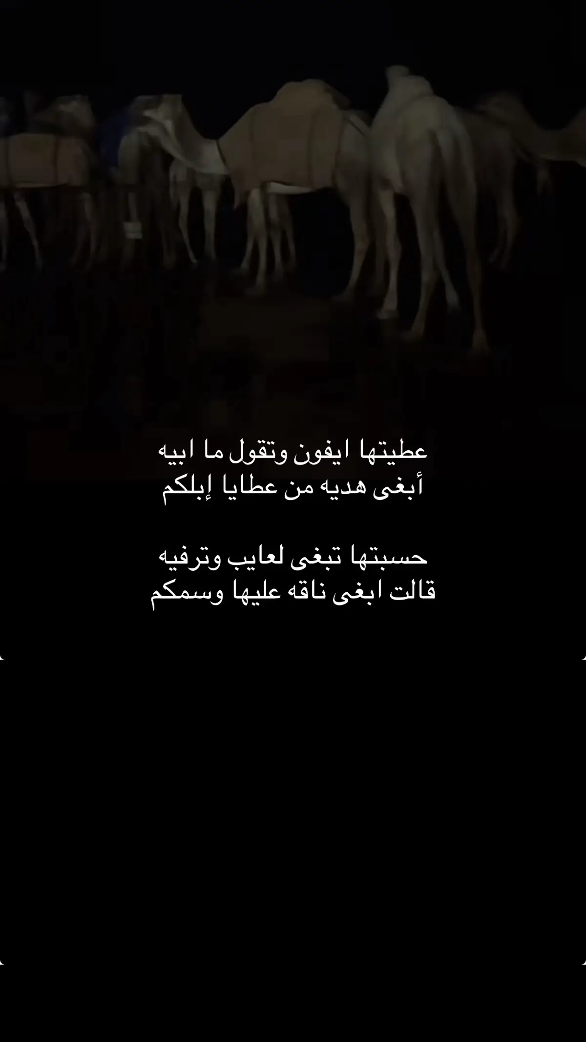#سنابي_بالبايو🤍 #ابيات_شعر_من_العيار_الثقيل #النداوي🇶🇦 #متابعه_ولايك_واكسبلور_فضلا_ليس_امرأ #الشعب_الصيني_ماله_حل😂😂 