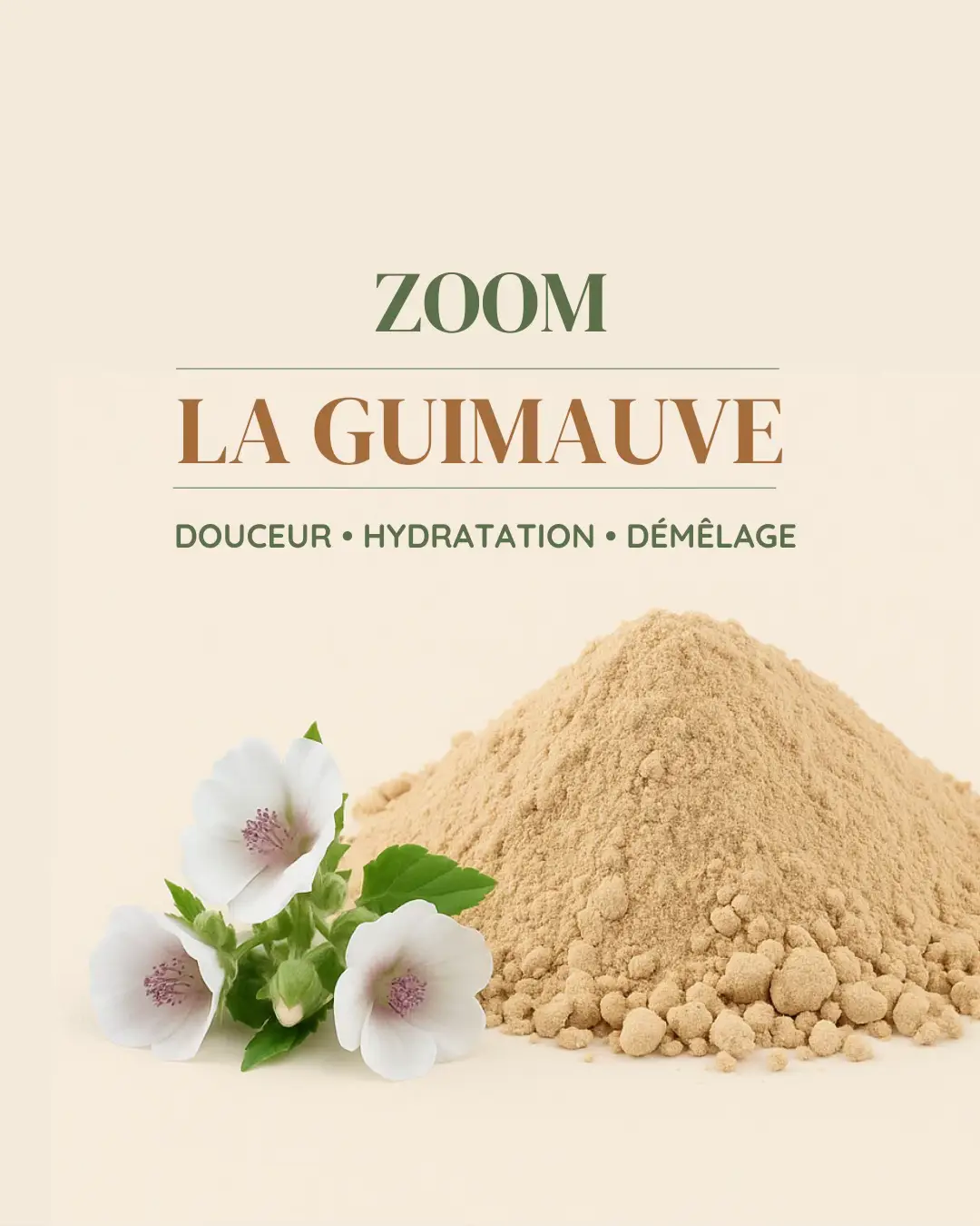 Pas le bonbon, mais la plante qui fait des merveilles sur les cheveux ✨ Elle hydrate, démêle et protège toutes les chevelures ! 👉 Tu as les cheveux bouclés ? Teste la recette du masque, ça fait des merveilles 💚 Tes boucles seront plus souples, définies et faciles à coiffer 🌿 📌 Sauvegarde ce post pour garder la recette sous la main ! #pourtoi #tokhair #guimauve #soincheveux #haircare 