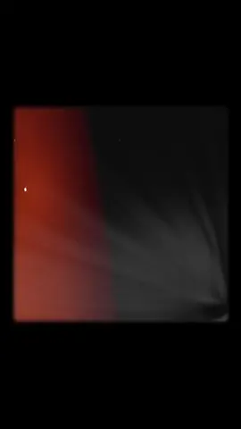🔥 Paris en feu hier soir avec Damiano David, une vibe de folie, un regard qui transperce, une énergie qui retourne l’Arena… c’était pas un concert, c’était une explosion ⚡️✨ 📸 Un instant gravé, une soirée légendaire. Damiano ne chante pas… il possèdes les âmes. 🔥 #DamianoDavid #Paris #ConcertDeFolie #Legend #LiveMusic     @Dove Cameron @Damiano David @MåneskinOfficialFanClub @MÅNESKIN  @damianodavid @maneskin_official @paris