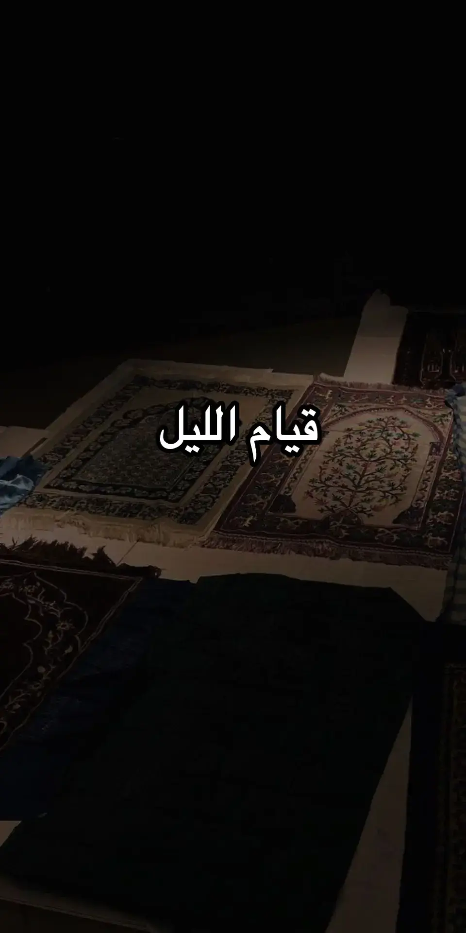 #قيام_الليل #صلاة #اللهم_صل_على_محمد_وآل_محمد 