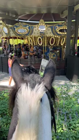 #houston #tiktok #texas #rodeo #zoo 