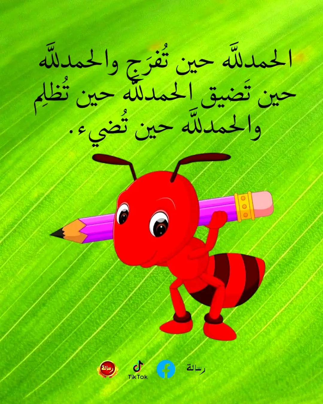 Alhamdulillah when life eases, Alhamdulillah when it gets hard, Alhamdulillah in the darkness, and Alhamdulillah when it shines. #alhamdulileh #تفاؤل #رياض_عسل
