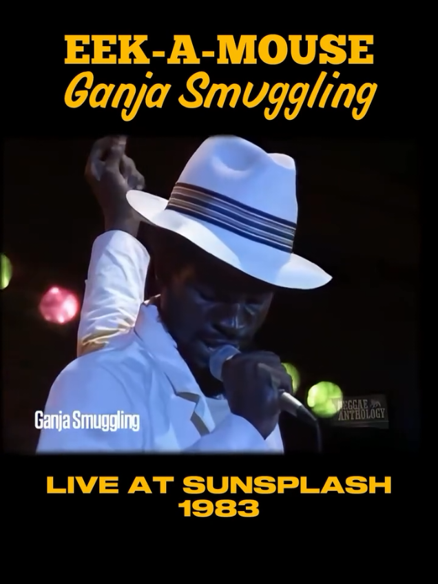 EEK A MOUSE GANJA SMUGGLING REGGAE SUNSPLASH #eekamousereggae #reggae #reggaedopiaui #reggaeteresina #reggaeclassic 