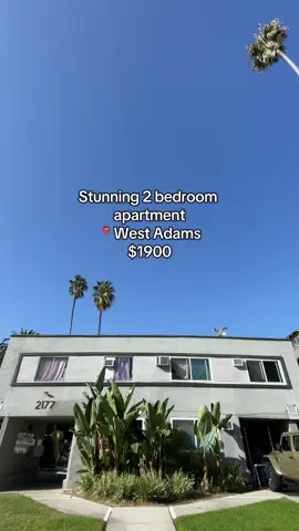 Stunning 2 bedroom apartment available for rent in West Adams 😍 message for more info. . . . . . #rentalproperty #losangeles #la #apartmenttour #apartmenthunting 