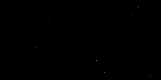 صوت بجع 🖤🔇. #كـٰہئيـٰہبـٰہ 