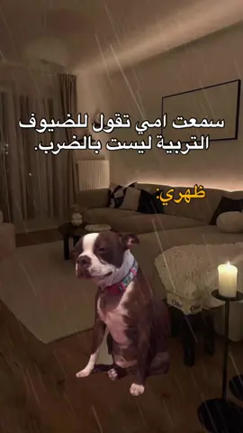 حقيقة🤣🤣🤣.  #fyp #viral #explore #الشعب_الصيني_ماله_حل😂😂 #مالي_خلق_احط_هاشتاقات #foryou #memes #منشن_للي_تحبه #طاقيه_طاقيها😁❤️💍 #حقيقة #ميمز_العرب 