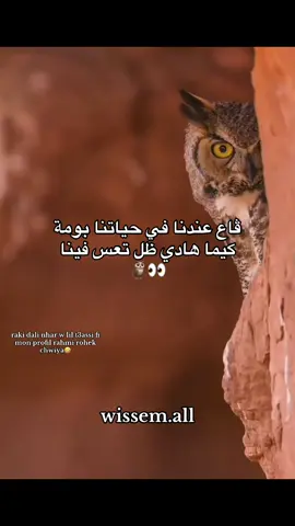 Arhmii rohek chwya🤣🤣