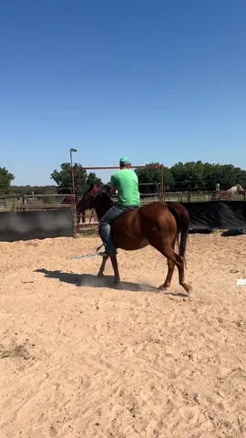 Our Broodmare by Cat Ichi… hasn’t been rode in 3-4 years.