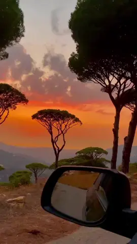 #يا_رايح_قول_ل_حبيبي_اشتقنا #يارايح_بيعرف_حبيبي_مطرحنا #❤️😍❤️ #فضل_شاكر 