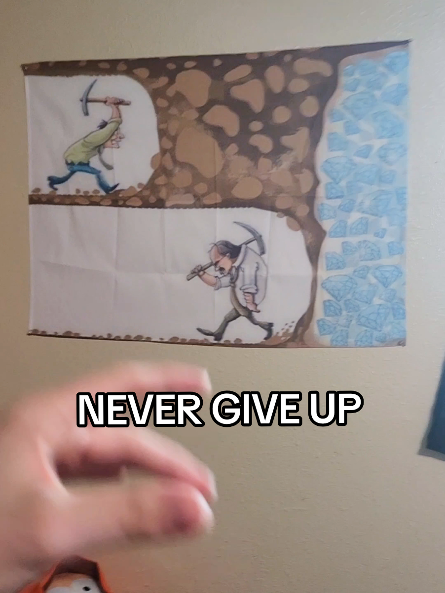 Putting it all on red with this new tapestry #nevergiveup #gambling #satire #tiktokshop #falldealsforyou 